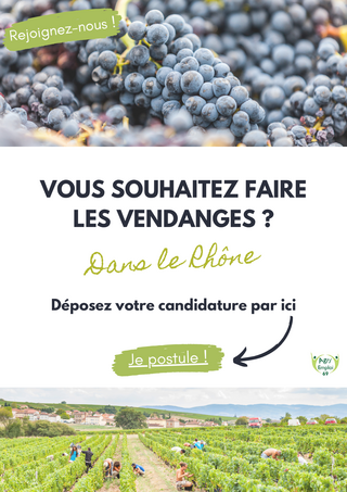 Vendanges_2025_-_Candidats.pdf